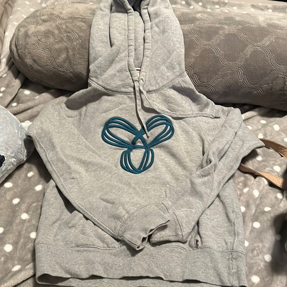 Aritzia gray hoodie with blueish logo - Picture 1 of 5
